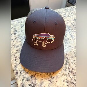 Patagonia Fitz Roy Bison Hat